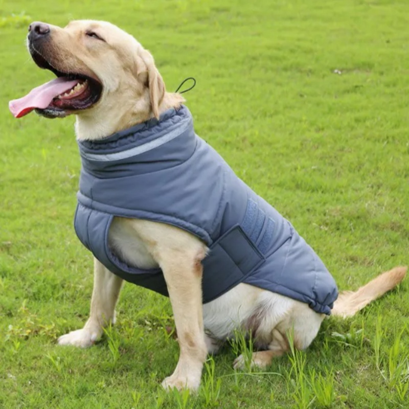 Warm Reflective Pet Clothing 