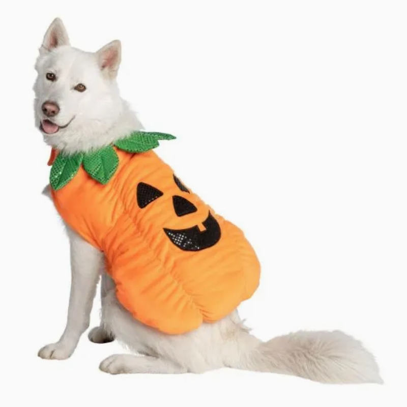 Orange Pumpkin Style Detachable Dog Costume with Green Leaf Collar